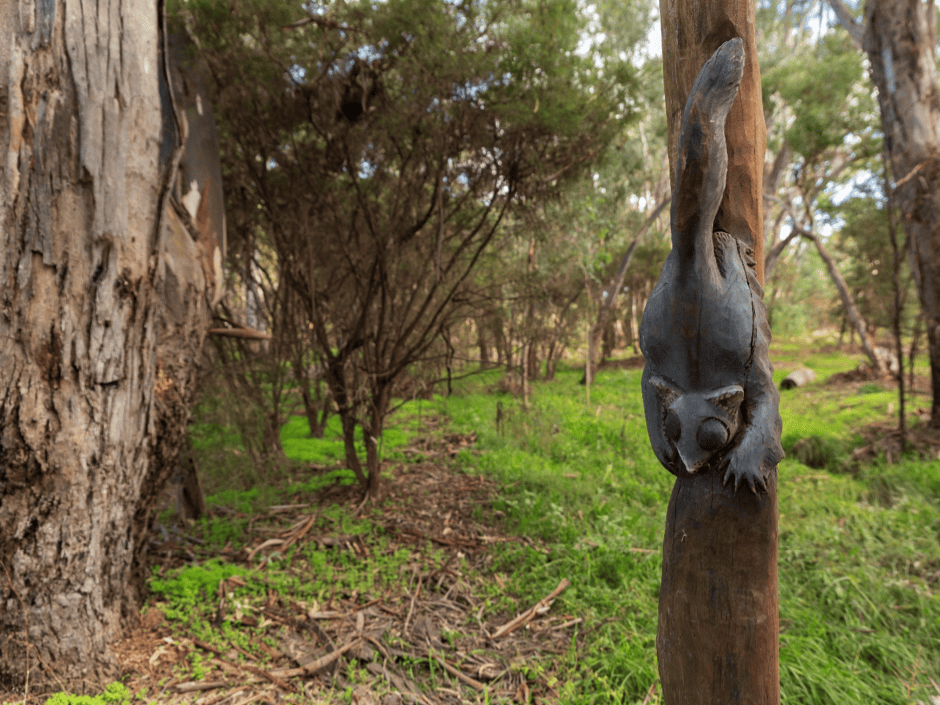 Back Creek possum carving, Bendigo