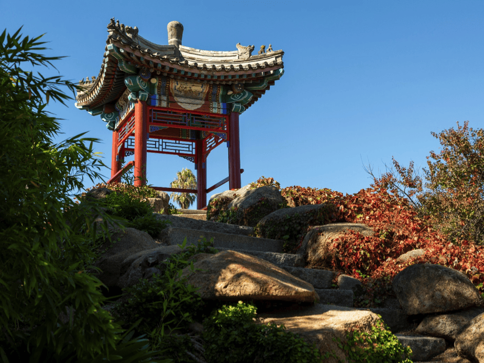 Bendigo's Chinese Precinct, Dai Gum San